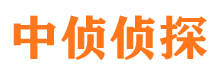 道真寻人公司